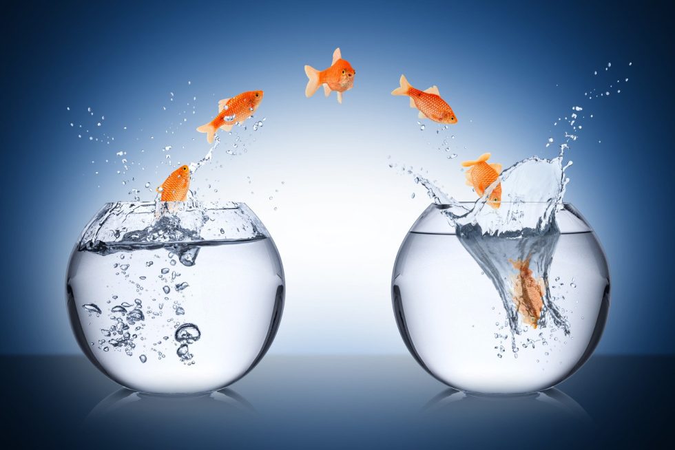 FORMANDO LÍDERES DESDE EL ADN DE TU ORGANIZACIÓN